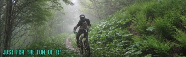 Biking Through the Woods